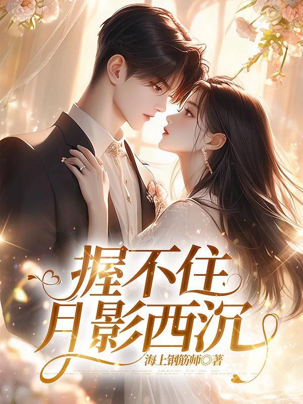 握不住的月光txt