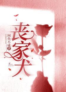 丧家犬的图片大全