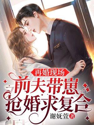 前夫再婚电视剧