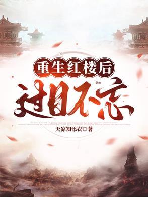穿越红楼贾琮的全部