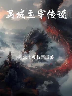 灵域主人公介绍