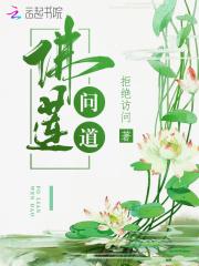 问道莲台法宝作用