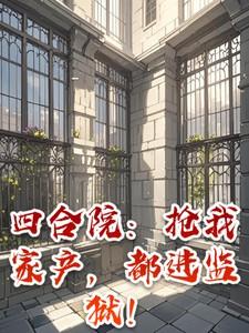 四合院悄悄暴富