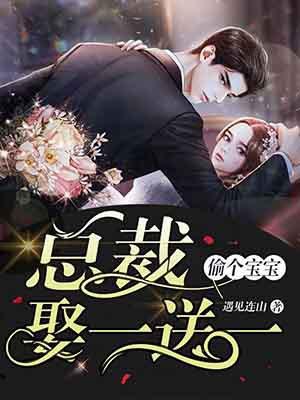 偷个宝宝总裁娶一送一460章