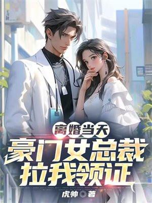 离婚当天豪门女总裁拉我领证苏离
