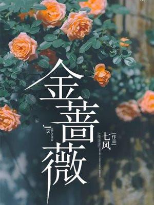 金蔷薇简介