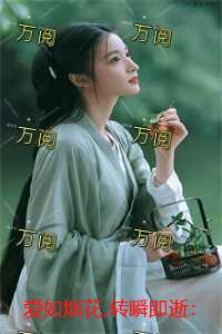 爱如烟花易消散免费