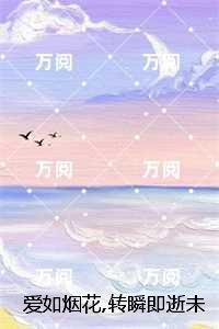 爱如烟花灿烂全文阅读