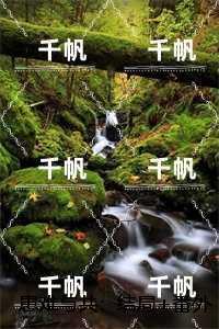 患难与共的解释是什么