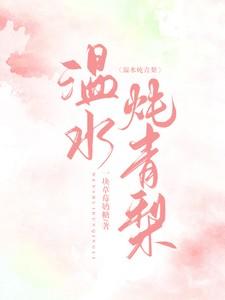 主角沈言墨童梨全章节阅读免费