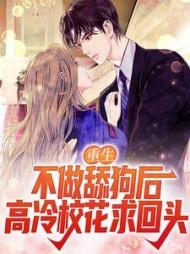 一本主角叫陈诺的书