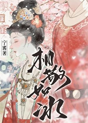 相敬如冰TXT百度