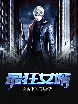 最狂女婿完整版