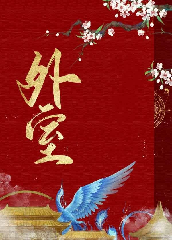 外室by启夫微安