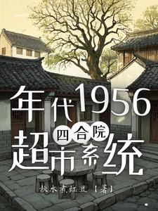 年代1956，四合院超市系统
