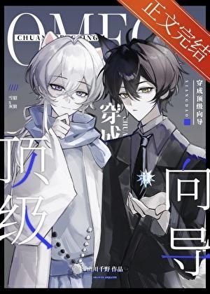 omega穿成顶级向导