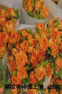 禁欲男神摁上墙,她就撩撩不负责全本免费