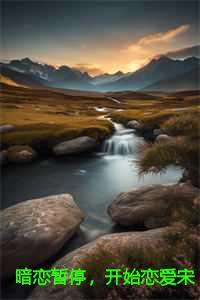 暗恋暂停,开始恋爱宋霜