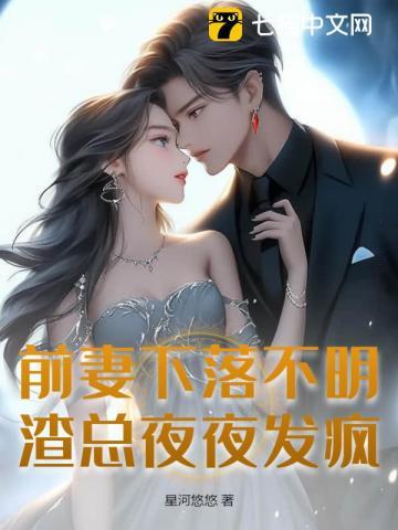 前妻下落不明,渣总夜夜发疯