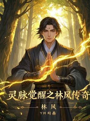 灵脉觉醒:林风传奇