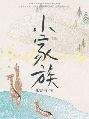 小家族:完美继承人