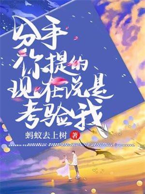 分手你提的，现在说是考验我？