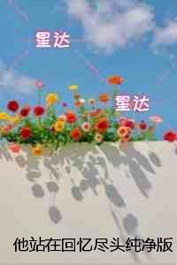 他站在回忆尽头纯净版:全局+结局